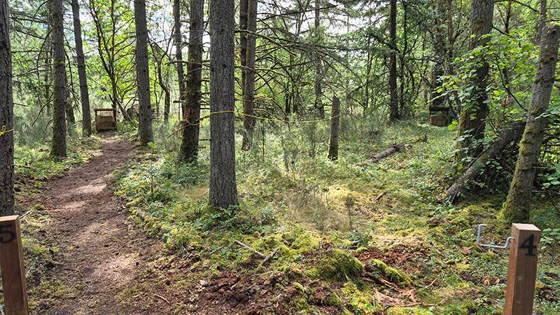 Archery-walking-trail.jpg