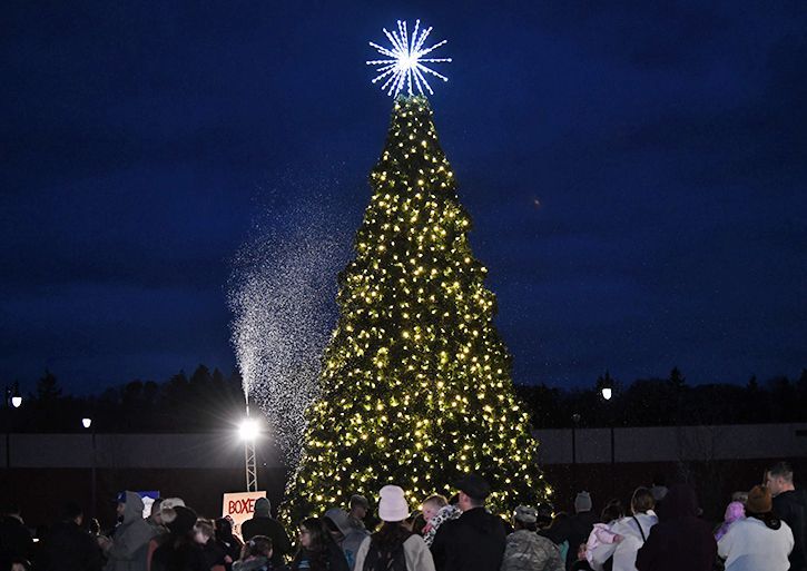 Tree-Lighting-Lewis (1).jpg