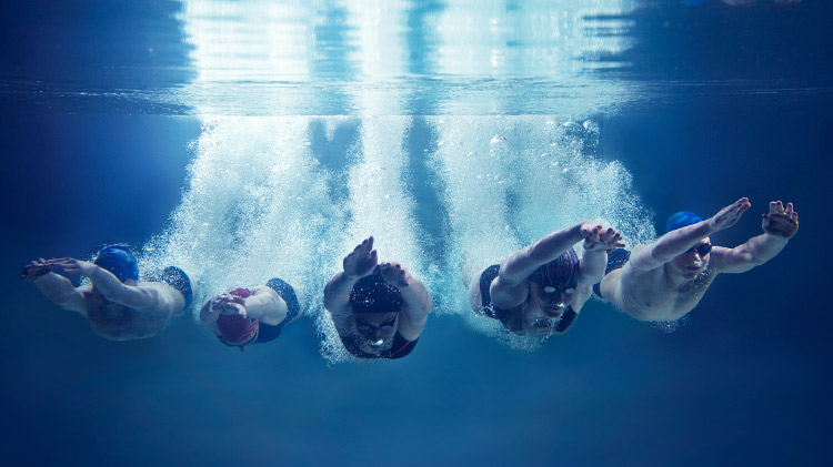 Dolphins Youth Swim Team Dolphins Youth Swim Team