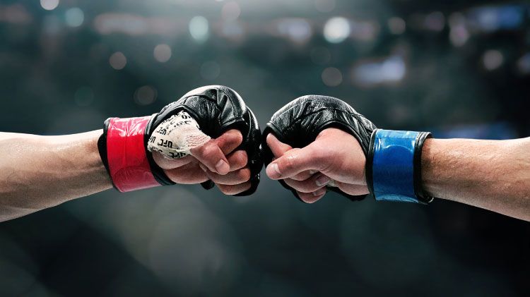 UFC Fight Night