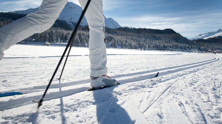 Cross-country ski with us! Cross-country ski with us!