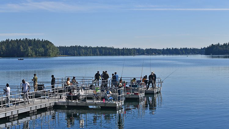 53777857171_57c43ab1cf_k (1).jpg