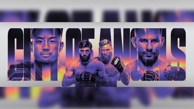 UFC 331