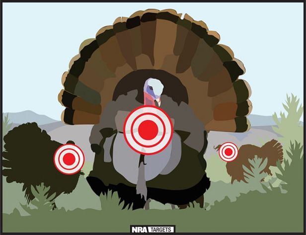 Turkey-shoot.jpg